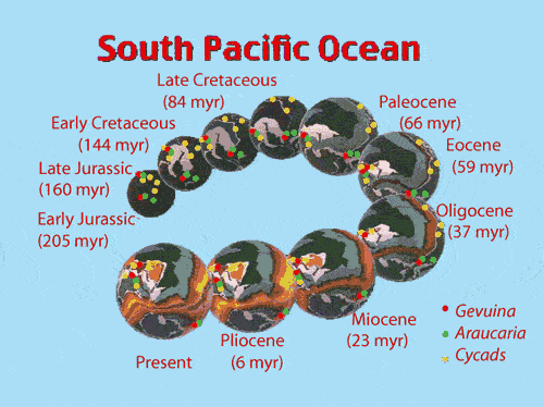 Distribution of Species around Pacific Ocean