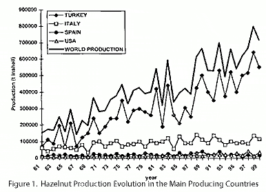 Graph of Hazelnut Production