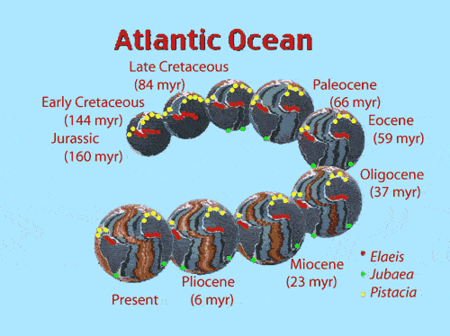 Species Distribution around Atlantic Ocean