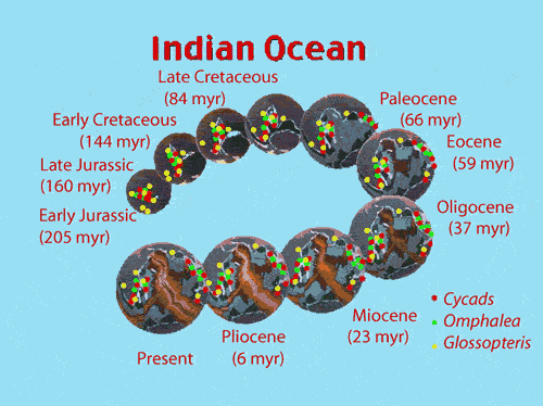 Species Distribution around Indian Ocean