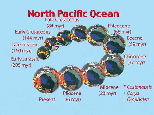 Distribution of Species around Pacific Ocean